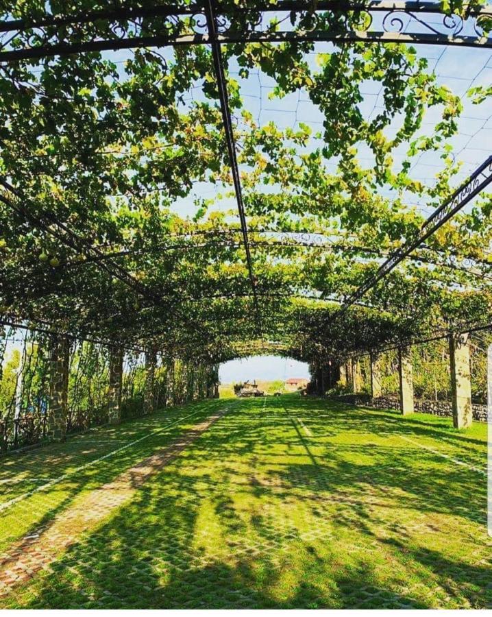 Hotel Mrizi I Zanave Agroturizem Lezhë Exterior foto